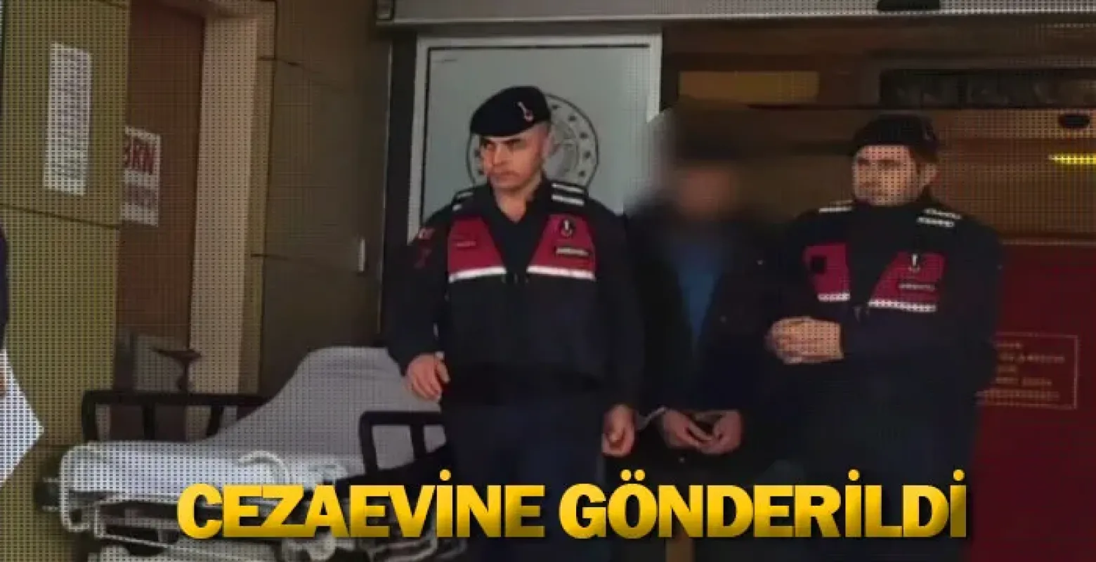 Cezaevine gönderildi