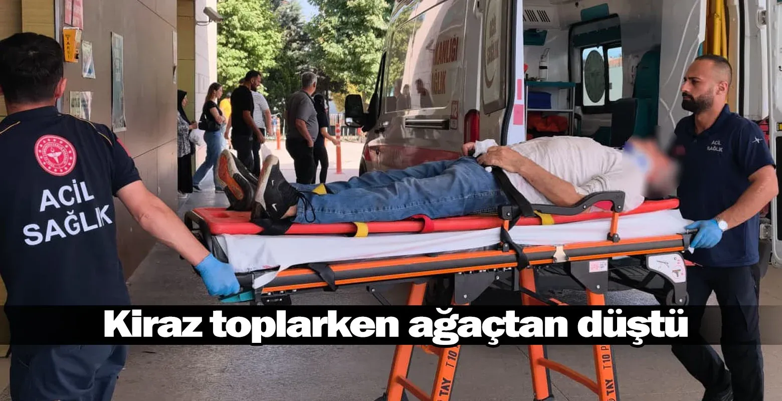 Kiraz toplarken ağaçtan düştü