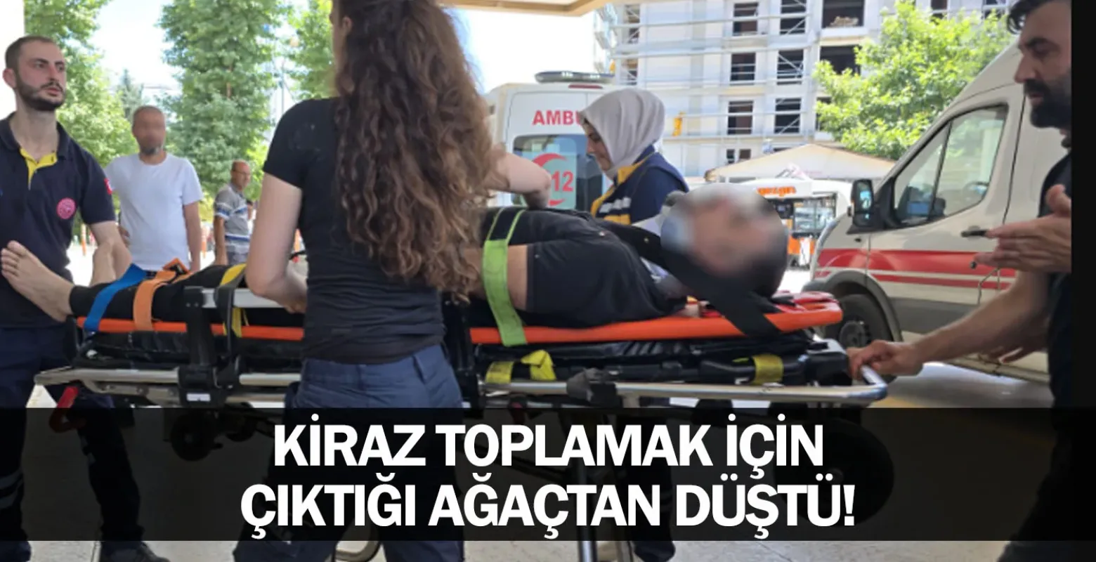 Kiraz toplamak için çıktığı ağaçtan düştü!