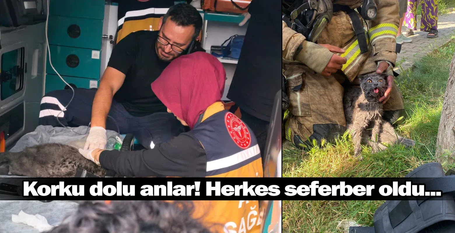 İnegöl'de korku dolu anlar! Herkes seferber oldu...