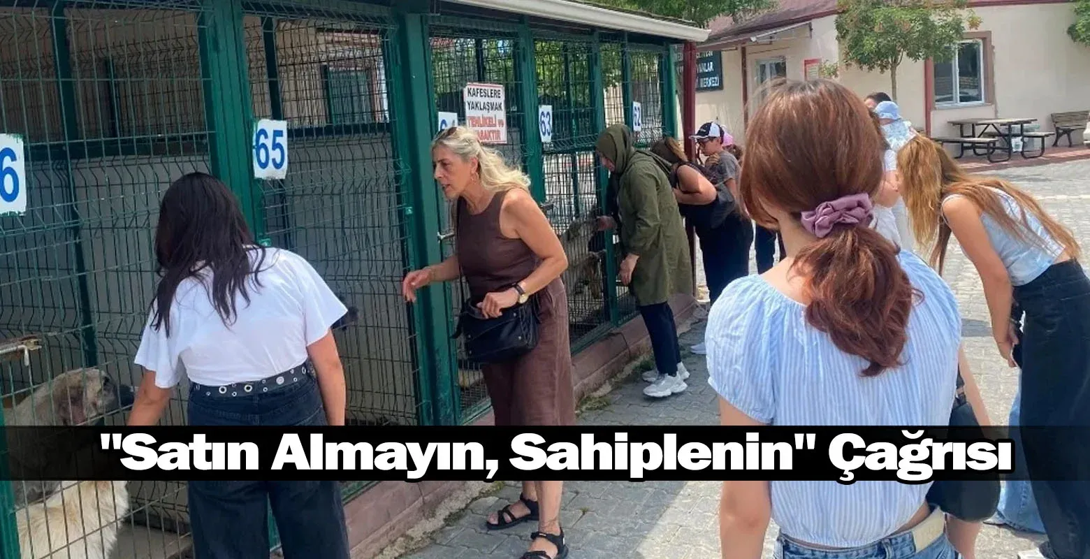 "Satın Almayın, Sahiplenin" Çağrısı
