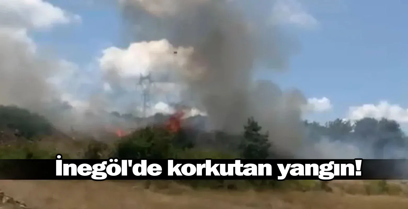 İnegöl'de korkutan yangın!