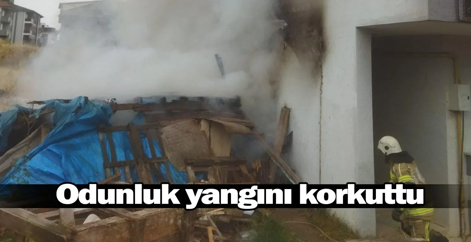 İnegöl'de odunluk yangını korkuttu