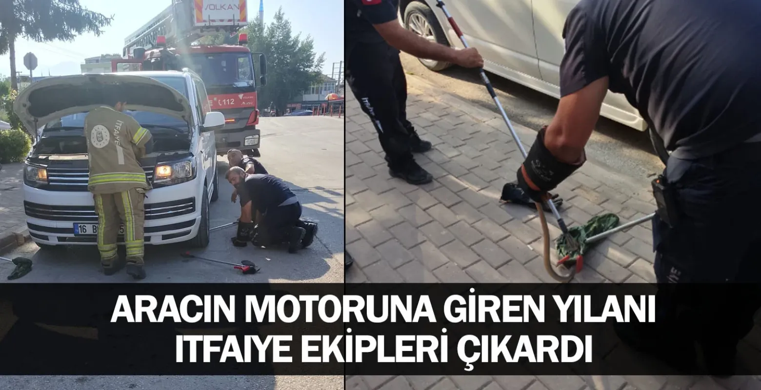 Aracın motoruna giren yılanı itfaiye ekipleri çıkardı