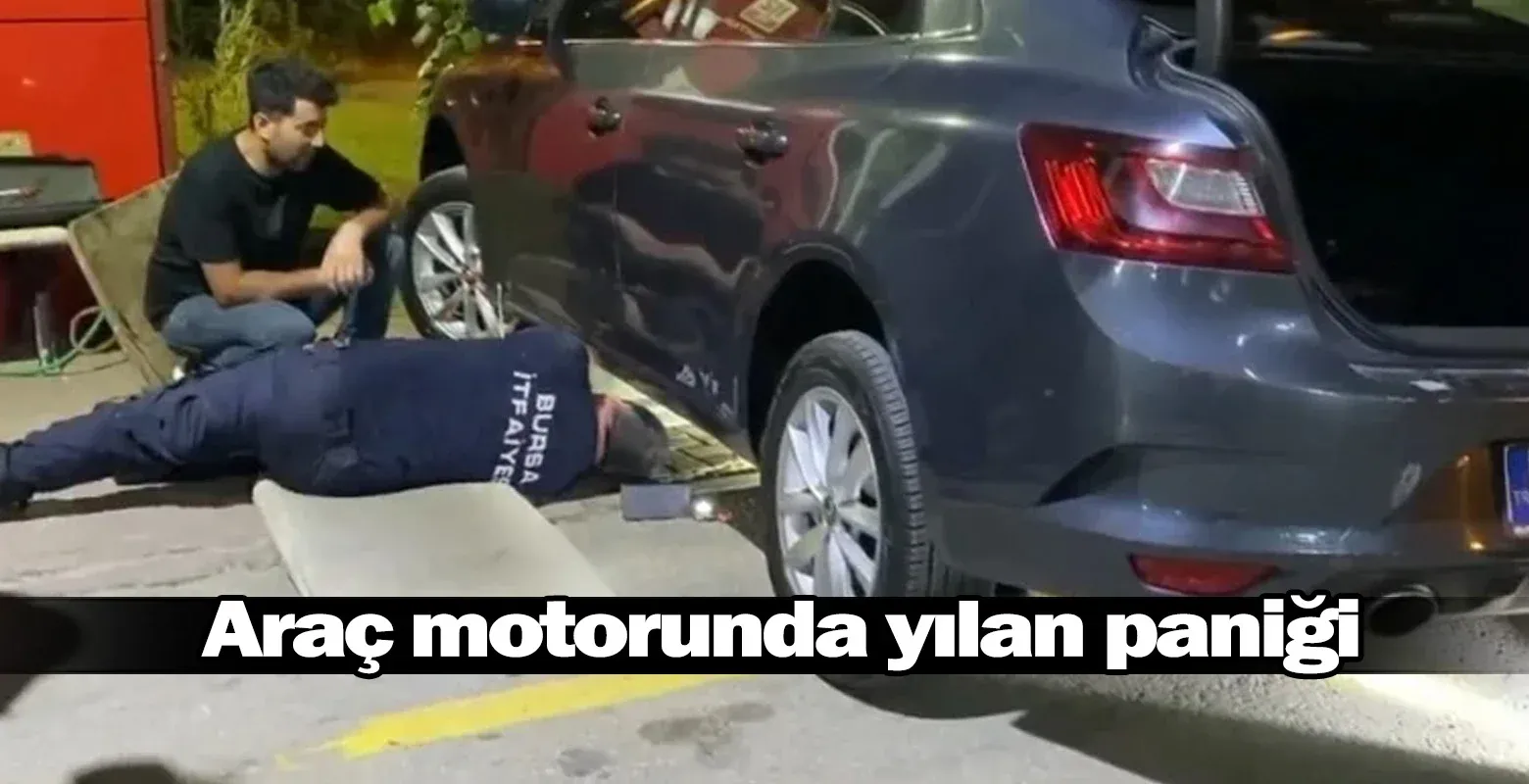 İnegöl'de araç motorunda yılan paniği