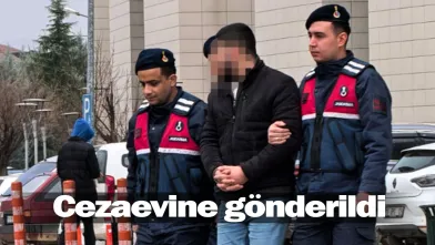 Cezaevine gönderildi