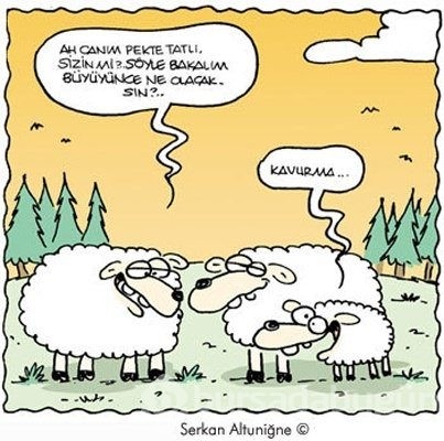 En güzel Kurban karikatürleri