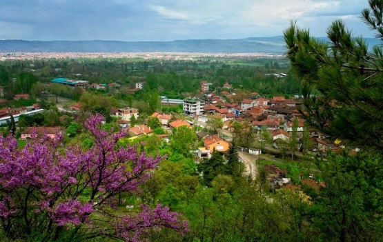 İNEGÖL ALBÜMÜ