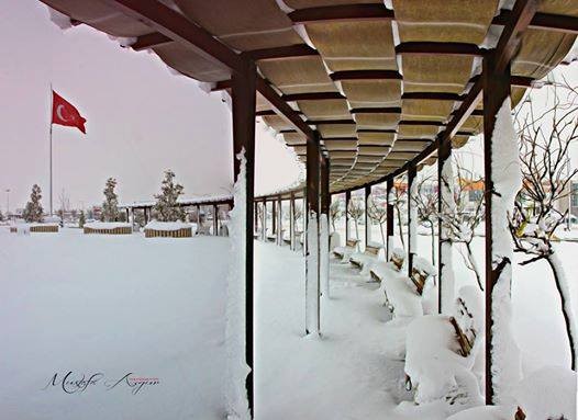 İnegöl'de çekilen en güzel kar fotoğrafları....