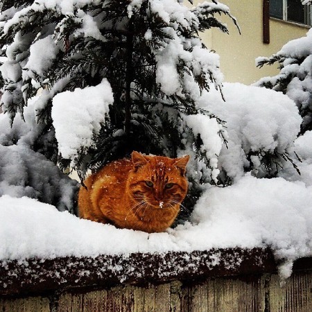 İnegöl'de çekilen en güzel kar fotoğrafları....