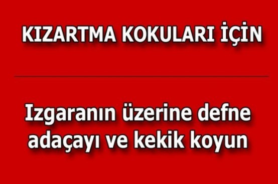 Buzdolabının İçine 1 Torba Tuz Koyarsanız... Bu Öneriyi Mutlaka Deneyin!