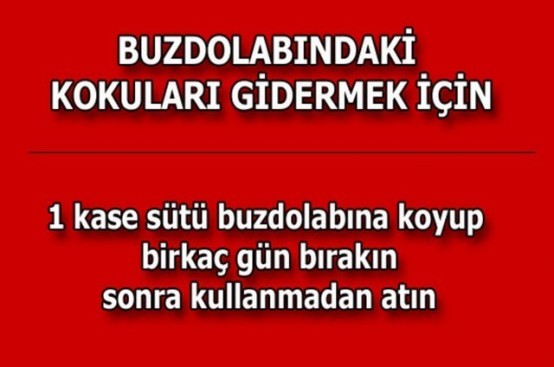 Buzdolabının İçine 1 Torba Tuz Koyarsanız... Bu Öneriyi Mutlaka Deneyin!