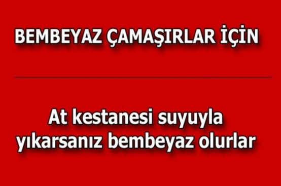 Buzdolabının İçine 1 Torba Tuz Koyarsanız... Bu Öneriyi Mutlaka Deneyin!