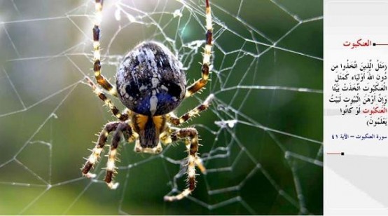 Kuran-i Kerim'de adı geçen hayvanlar... İçlerinde öyle biri var kii!