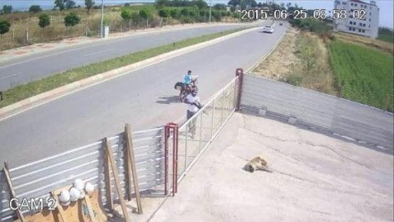 Herkes bu caniyi arıyor!