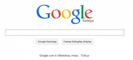 İşte Google'nin bilinmeyen şifreleri!