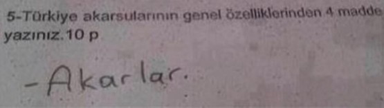 Bu cevaplar çok güldürüyor.....!