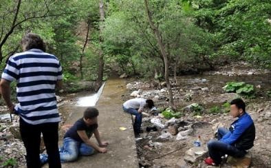 Bonzai nedir, nasıl kafa yapar ve neden öldürür? Tüm ayrıntılarıyla açıklıyoruz...