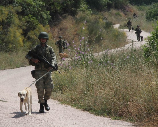 Kahraman Köpeklerin Nefes Kesen Gösterisi