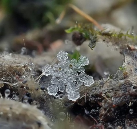 İşte en güzel buz fotoğrafları