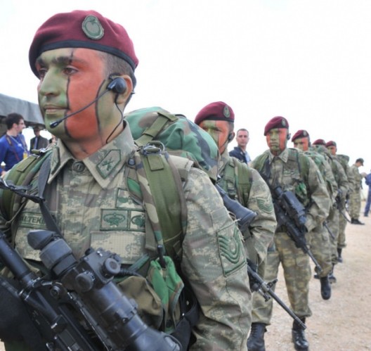 Bordo Bereliler hakkında bilinmeyenler