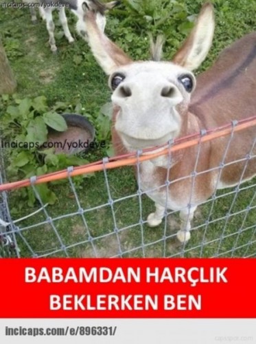 En güzel bayram capsleri