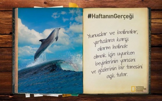 Haftanın ilginç gerçekleri