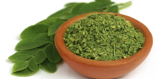 Moringa çayı nedir, mucize bitki moringa oleifera faydaları nelerdir?