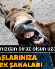 İş arkadaşlarınıza yapabileceğiniz İş Arkadaşlarınıza Yapabileceğiniz Küçük Eşşek Şakaları