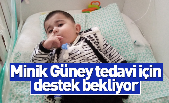 Minik Güney tedavi için destek bekliyor