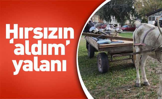 Hırsızın ‘aldım’ yalanı