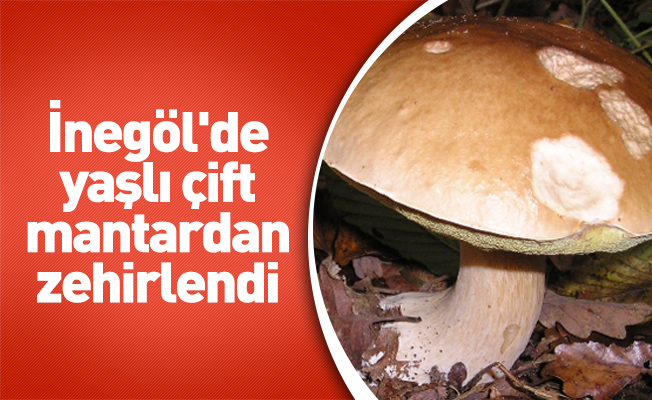 İnegöl'de yaşlı çift mantardan zehirlendi