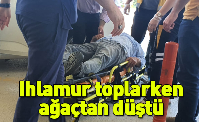 Ihlamur toplarken ağaçtan düştü