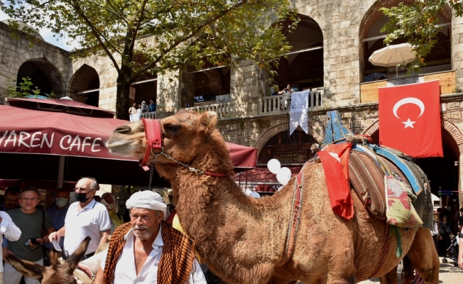 6 asırlık handa develi koza mezadı