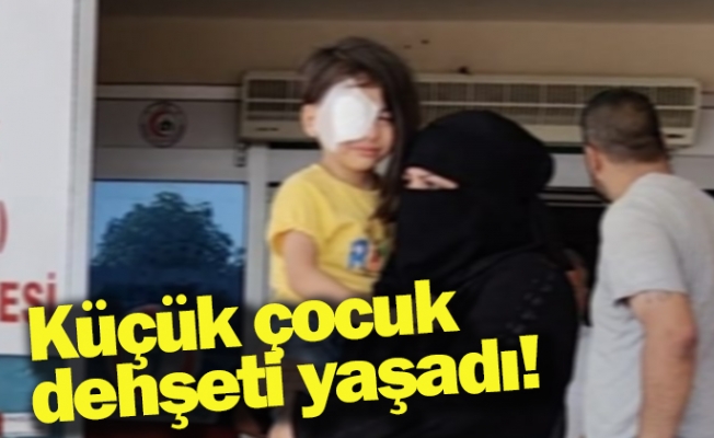 Küçük çocuk dehşeti yaşadı!