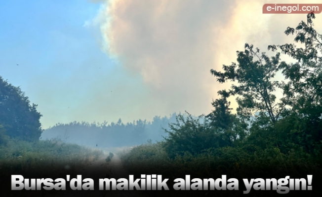 Bursa'da makilik alanda yangın!
