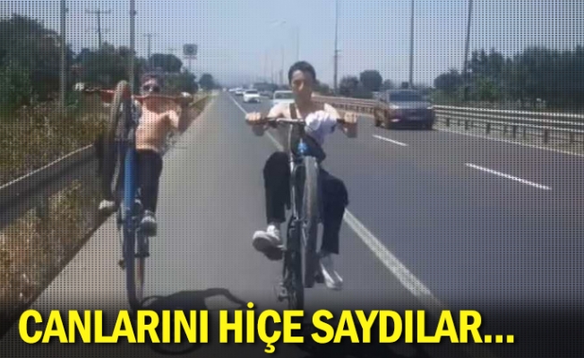 Canlarını hiçe saydılar...