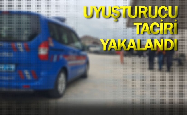 Uyuşturucu taciri yakalandı