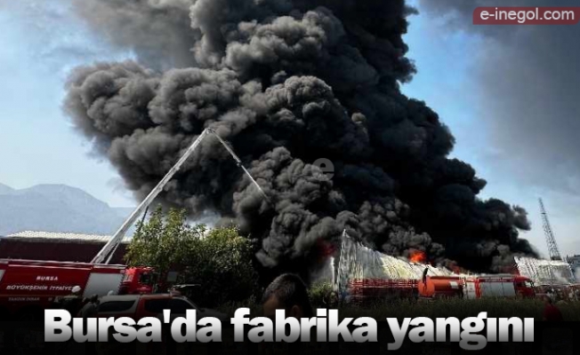 Bursa'da fabrika yangını