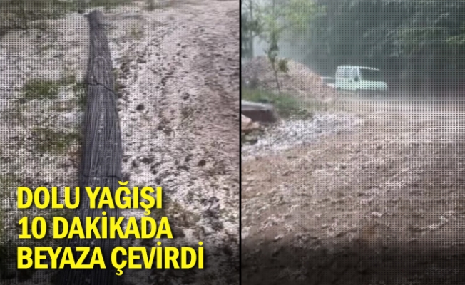 Dolu yağışı 10 dakikada beyaza çevirdi