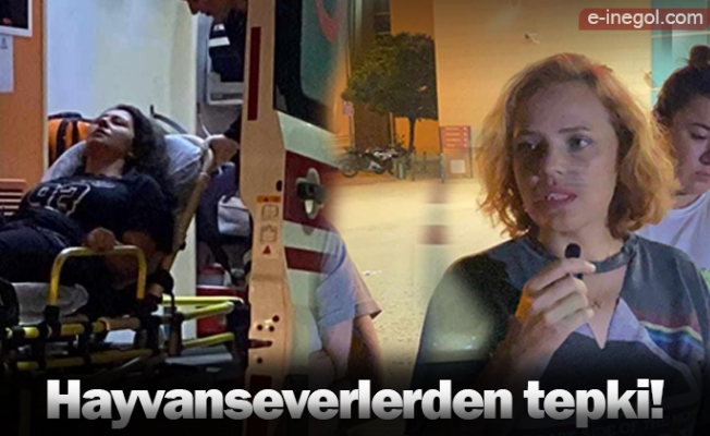 Hayvanseverlerden tepki!