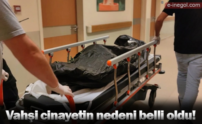 Vahşi cinayetin nedeni belli oldu!