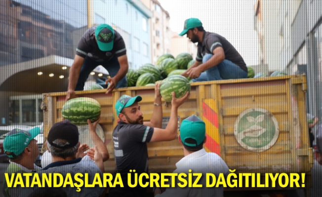 Vatandaşlara ücretsiz dağıtılıyor!