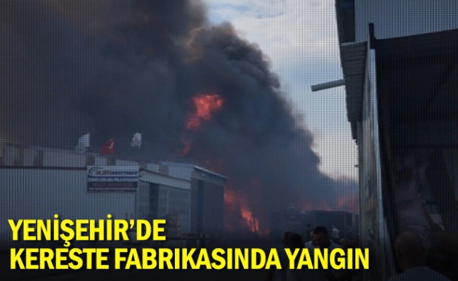 Yenişehir'de kereste fabrikasında yangın