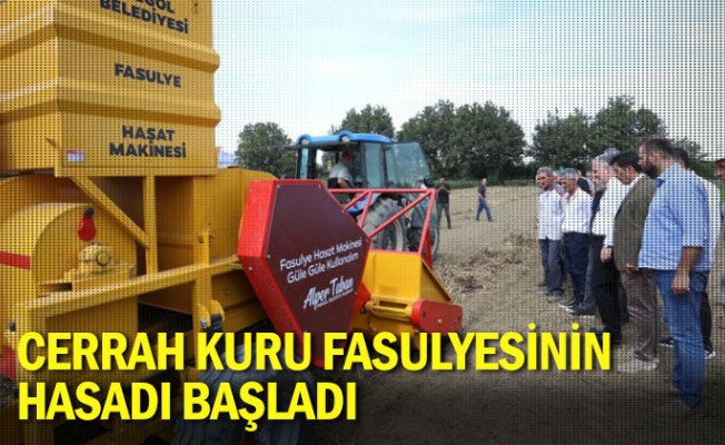 Cerrah Kuru Fasulyesinin hasadı başladı