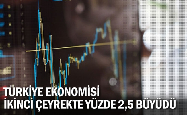 Türkiye ekonomisi ikinci çeyrekte yüzde 2,5 büyüdü