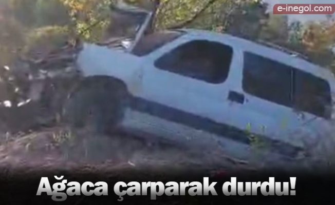 Ağaca çarparak durdu!