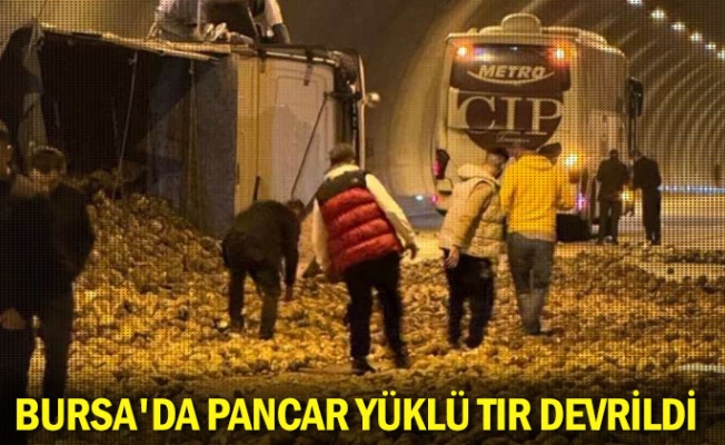 Bursa'da pancar yüklü tır devrildi