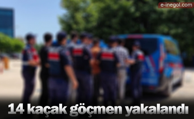 14 kaçak göçmen yakalandı