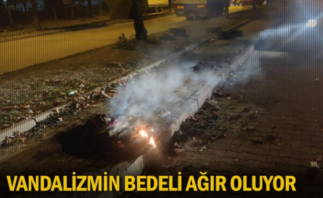 Vandalizmin bedeli ağır oluyor